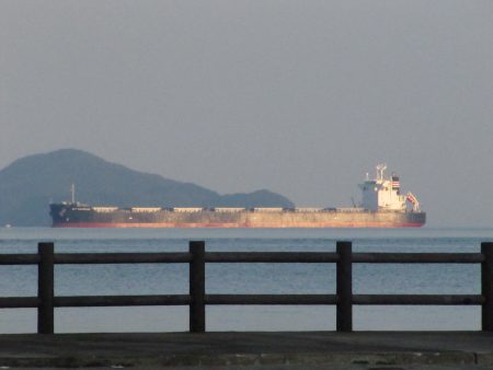 アジをもとめて